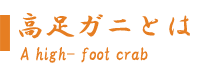 高足ガニとは